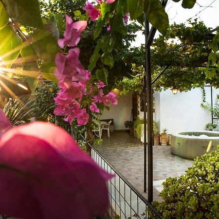 Villa Agia Paraskevi Ialysós Eksteriør bilde